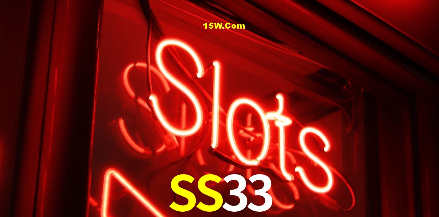 2FA Security SS33