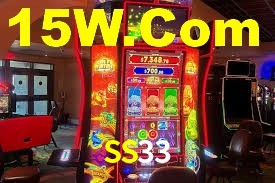 SS33