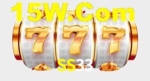 SS33 App Interface