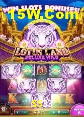 Programa VIP SS33